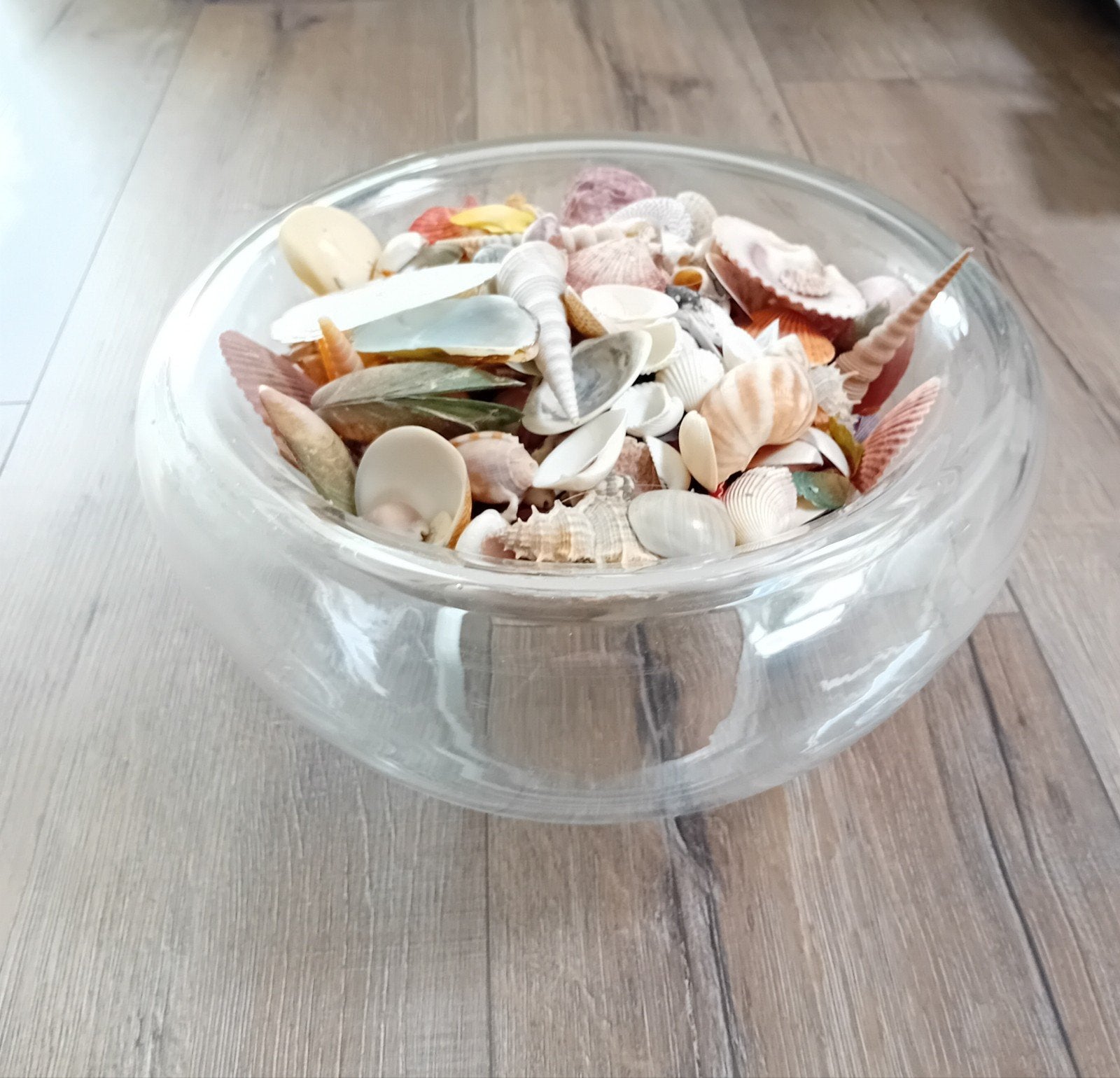 Glazen schaal met decoratieve schelpen, Ophalen, Gebruikt, Meerkleurig, Landelijk