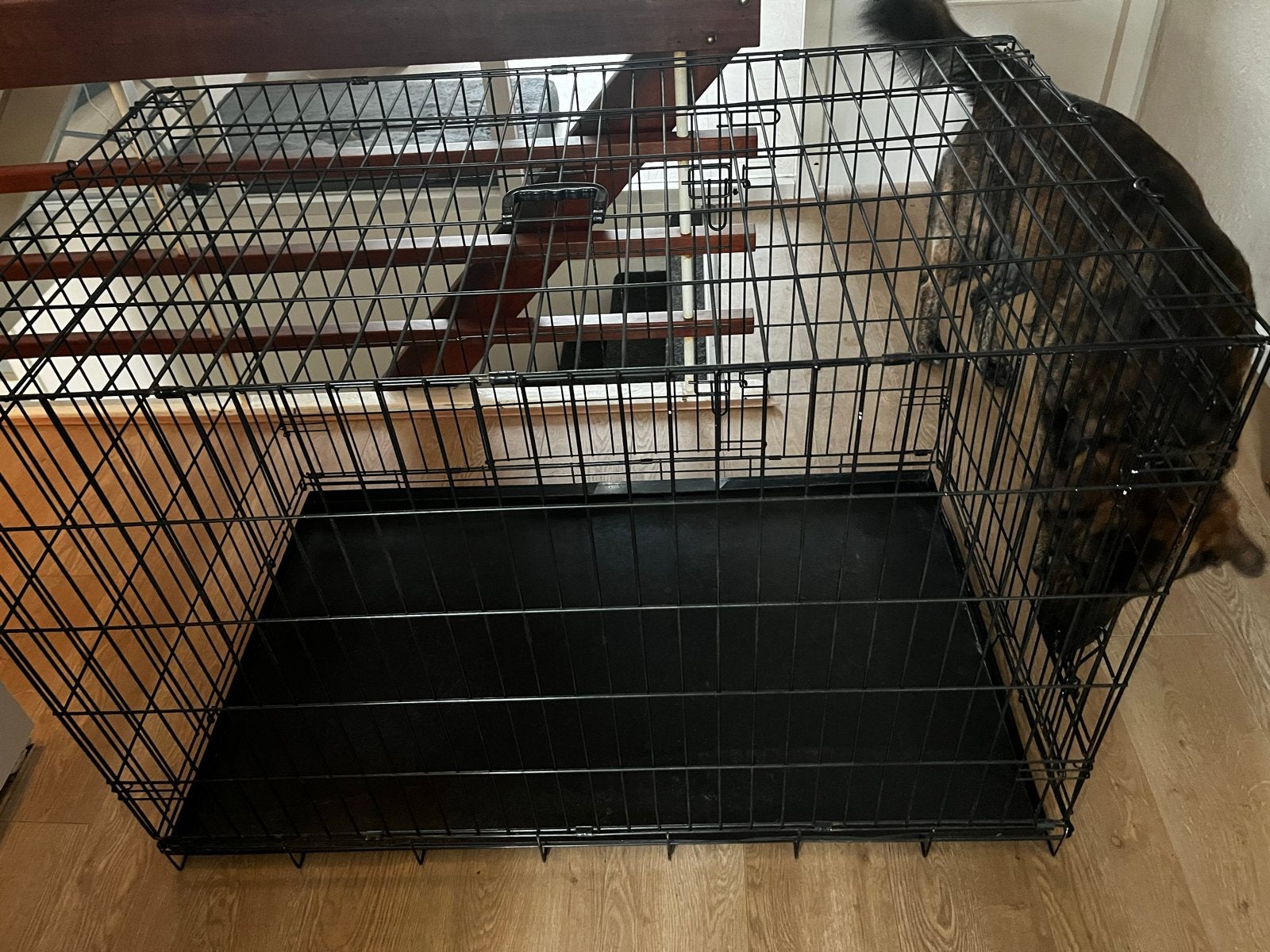 Hond Bench XXL, Dieren en Toebehoren, Ophalen
