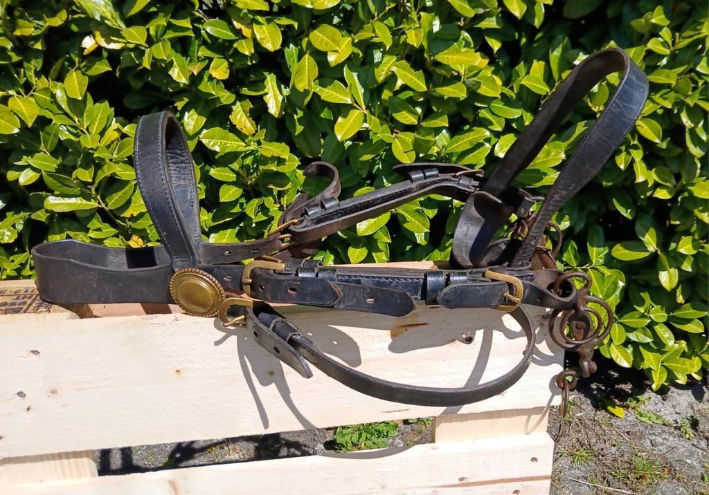 Mooi lederen hoofdstel met koper beslag voor trekpaard, Dieren en Toebehoren, Paarden en Pony's | Hoofdstellen en Tuigage, Ophalen of Verzenden