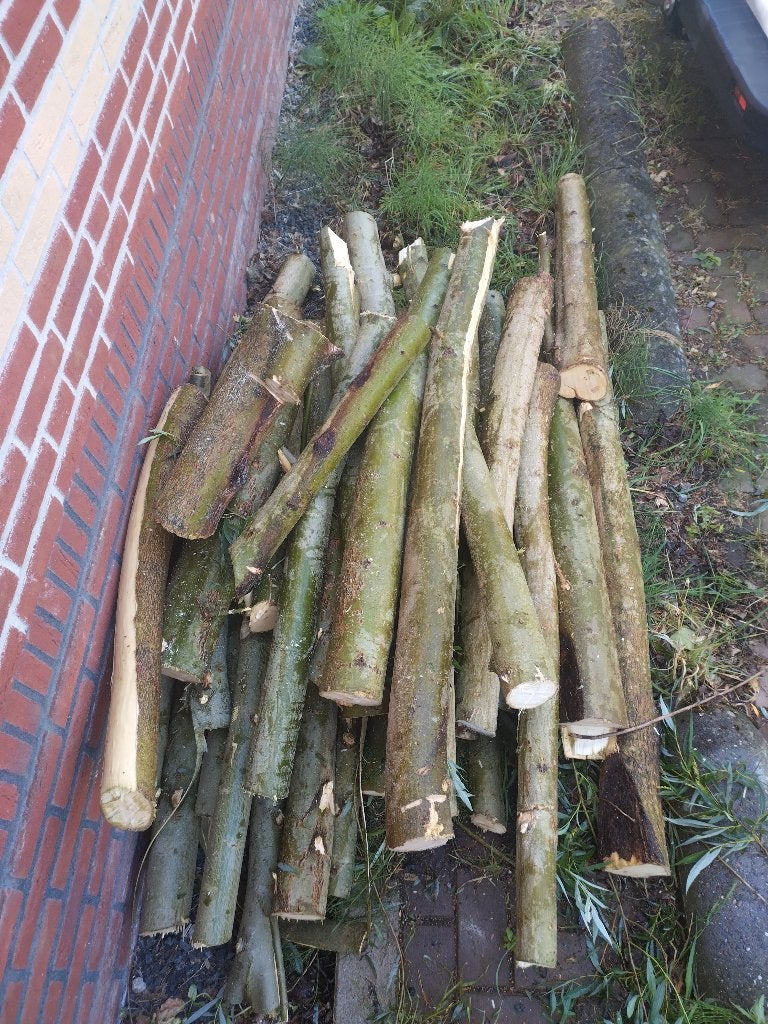 Gratis haard hout, Minder dan 3 m³, Ophalen, Overige houtsoorten, Stammen
