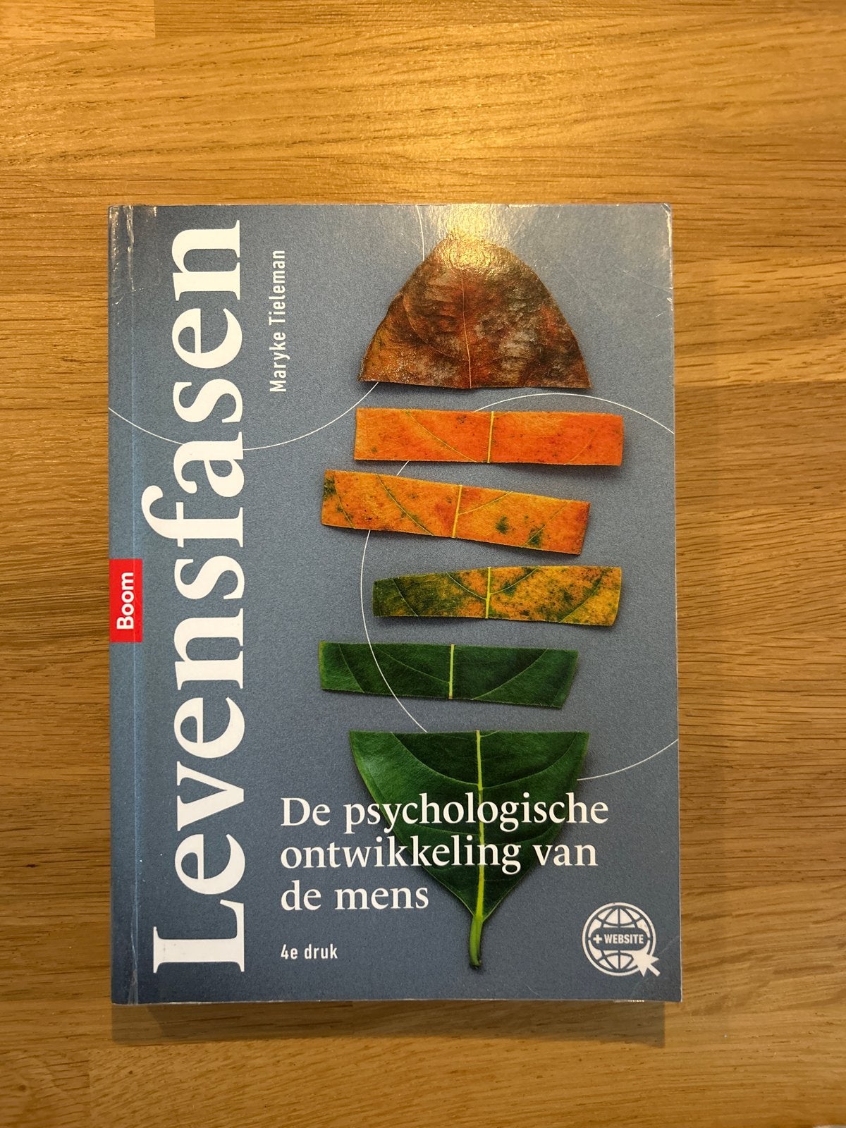 Levensfasen: De psychologische ontwikkeling van de mens, Ophalen of Verzenden, Gamma, Zo goed als nieuw, HBO