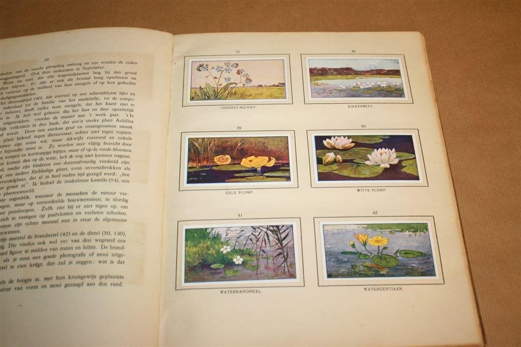 Zomer. Jac. P. Thijsse. 1912. Compleet plaatjesalbum., Ophalen of Verzenden, Gelezen