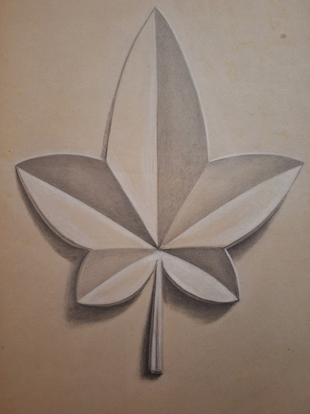 Pasteltekening blad door AA v Mourik, Ophalen of Verzenden, Tekening, Pasteltekening, Origineel