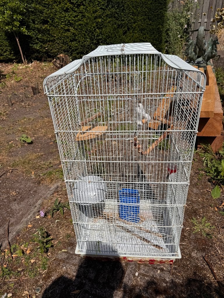 vogelkooi, Ophalen, Gebruikt, Metaal, Vogelkooi