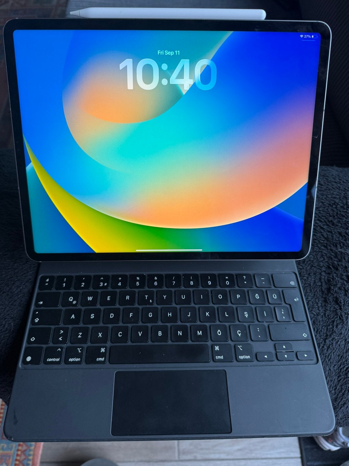 iPad Pro 12.9(6e gen) M2, 256 gb, WiFi + Cellular, Ophalen, Zo goed als nieuw, 12 inch, Bescherming voor- en achterkant