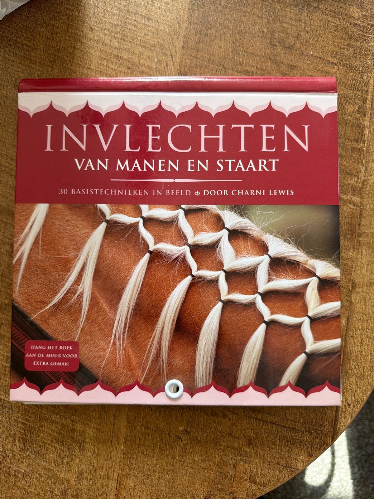 Boek: Invlechten voor manen en staart met ophang oog, Ophalen of Verzenden, Zo goed als nieuw
