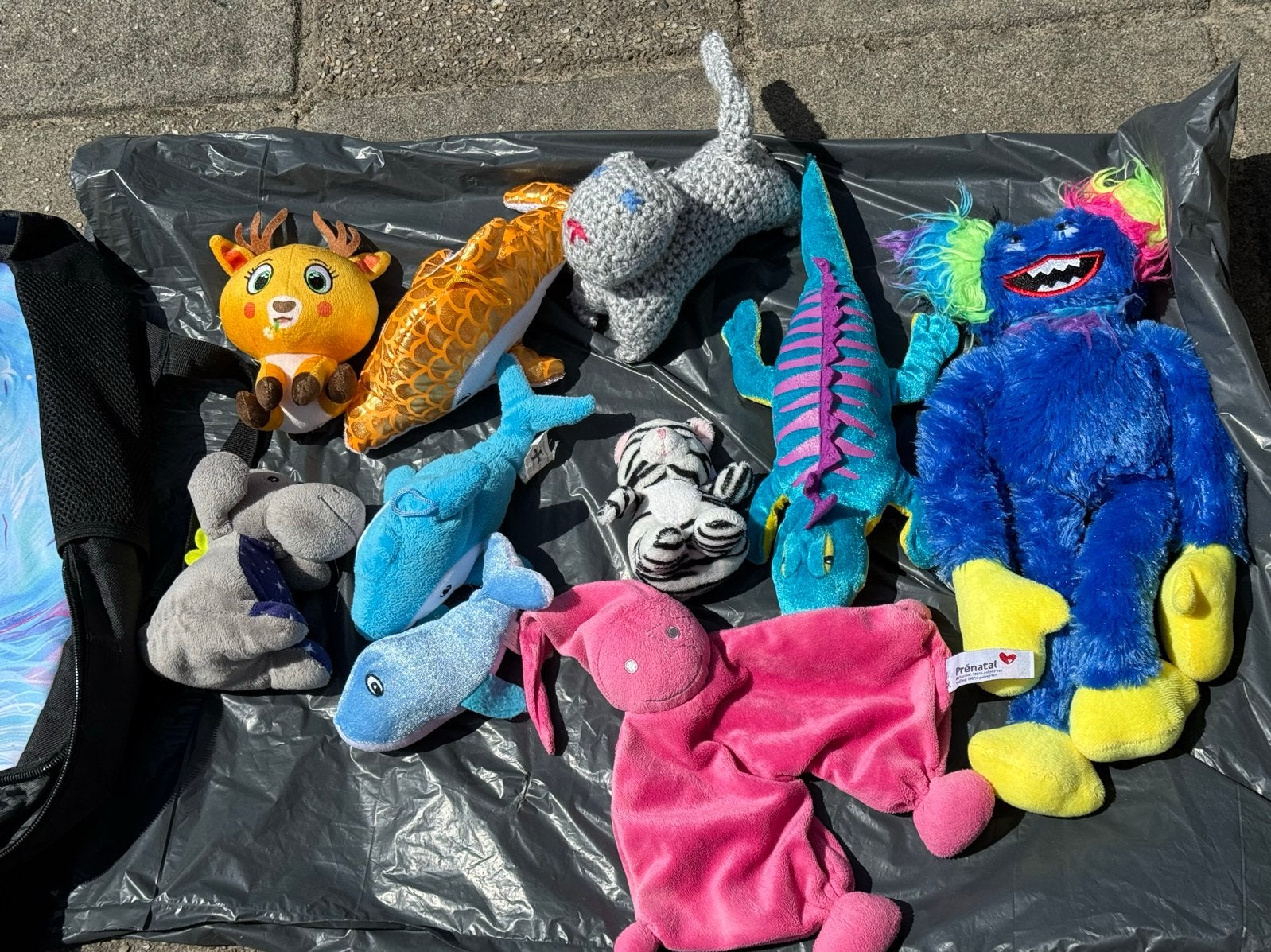 Diverse knuffels - Grote collectie, Ophalen, Gebruikt, Overige merken, Overige karakters