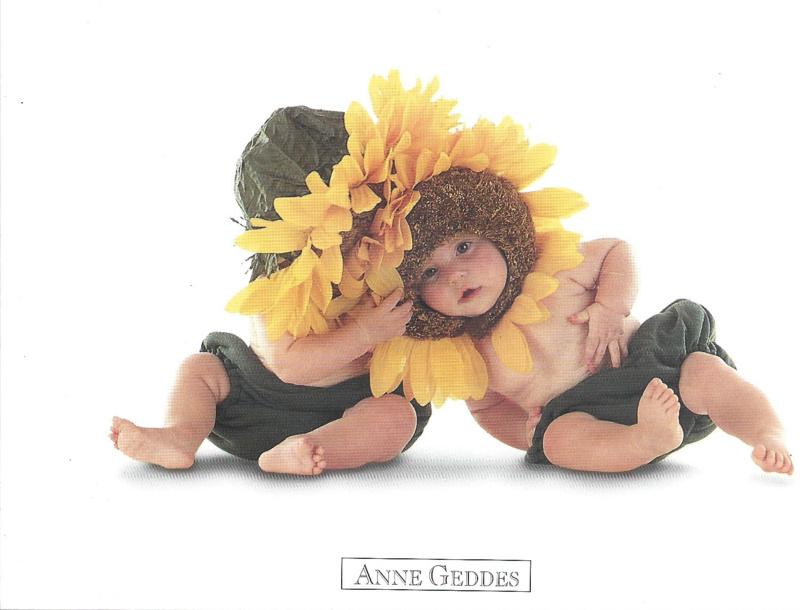 Anne Geddes kaart nr. A204: Zonnebloemen #3, Verzenden, 1980 tot heden, Ongelopen, Kinderen