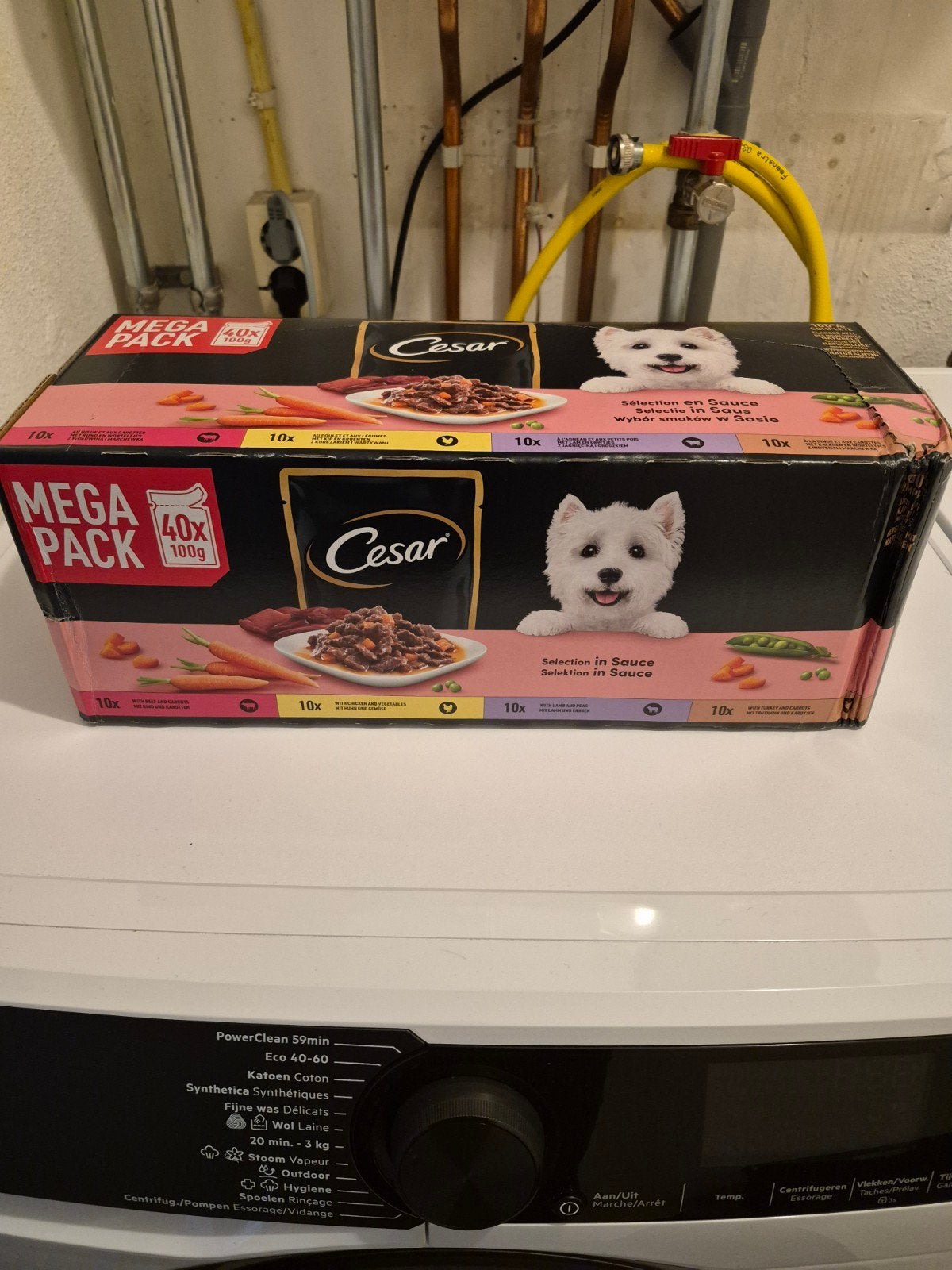 Cesar Mega, Ophalen, Hond