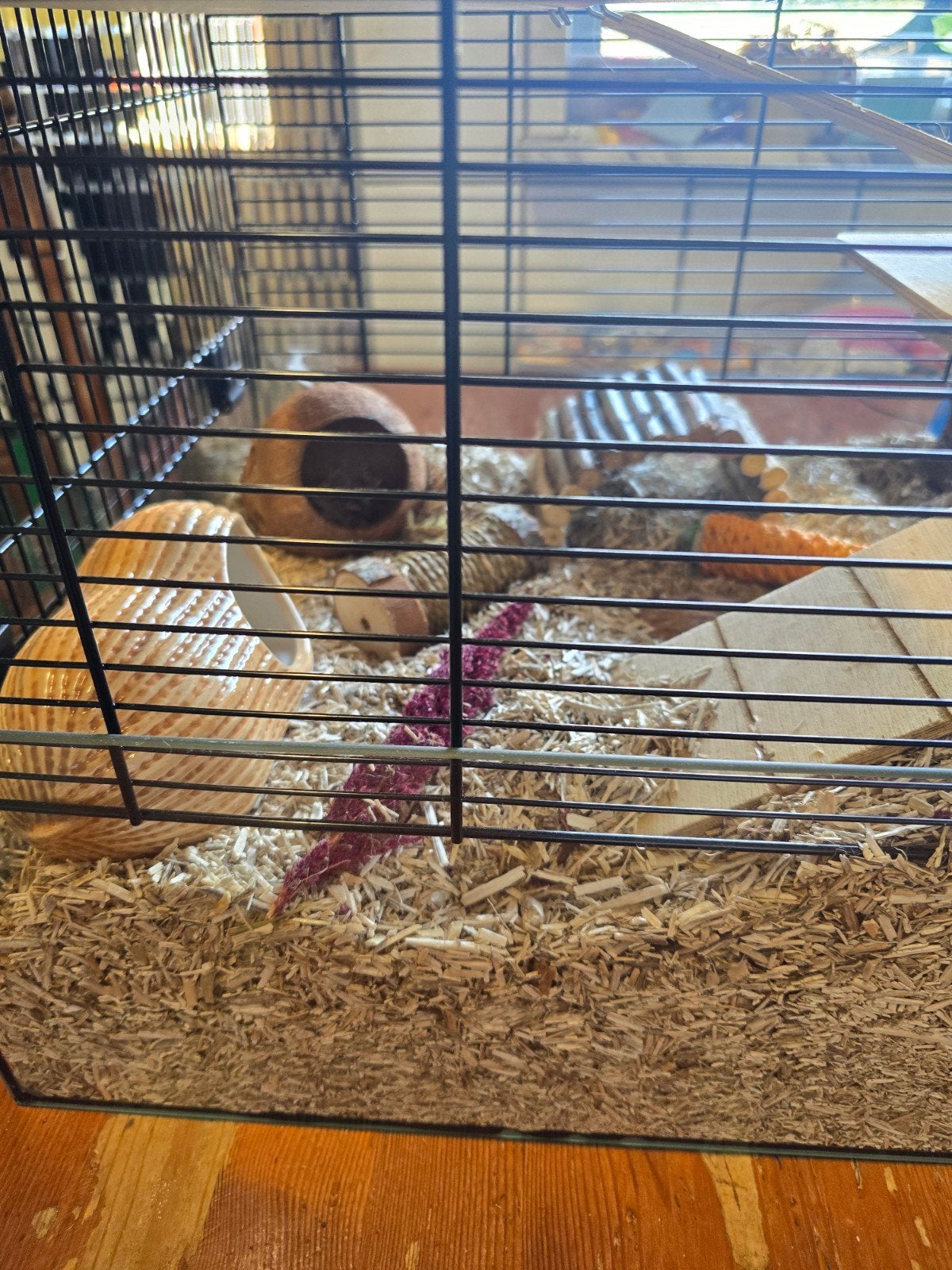 hamsterkooi, Dieren en Toebehoren, Ophalen, Minder dan 75 cm, Kooi, Minder dan 60 cm