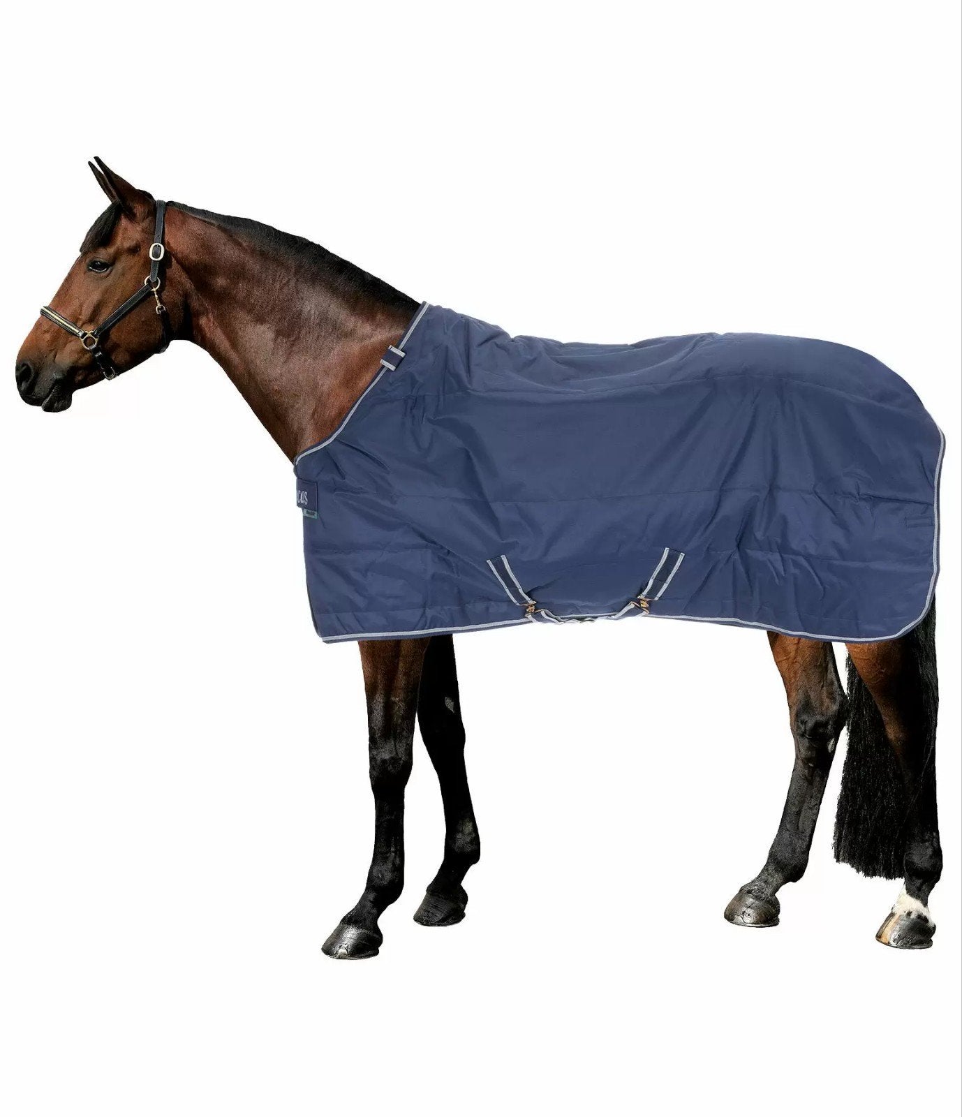 Bucas stay dry Stal- / Onderdeken, Dieren en Toebehoren, Ophalen of Verzenden, 50 g, Blauw, Onderdeken/liner