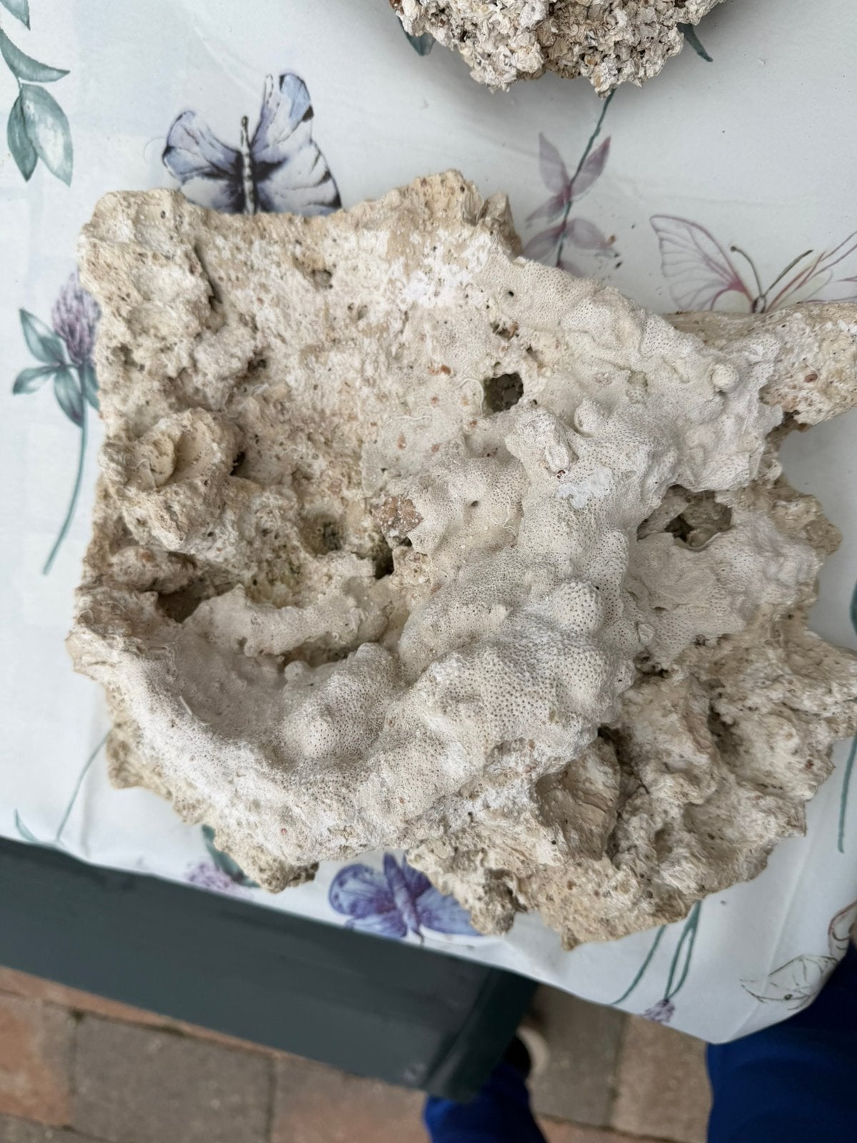 Mooie keramische stenen voor aquarium, Ophalen of Verzenden, Zo goed als nieuw, Spinnewiel