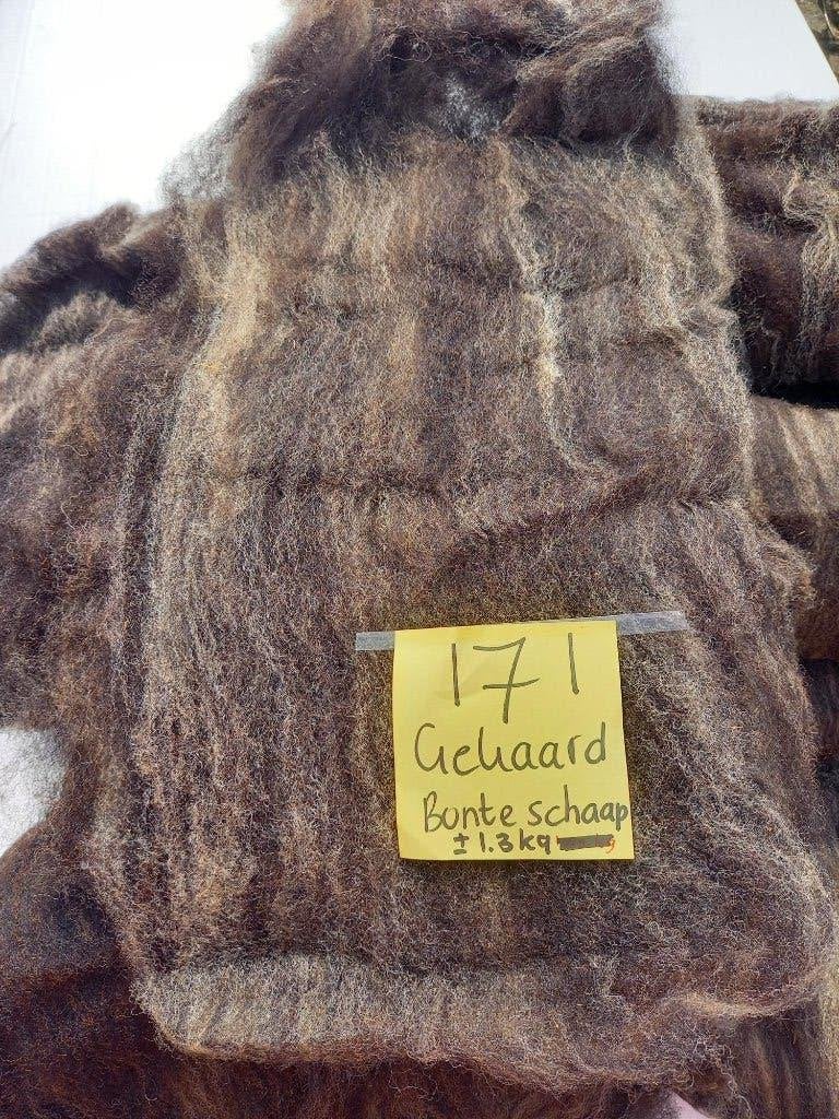 nr 171 Gekaarde wol kaardvlies bonte schaap ongewassen, Ophalen of Verzenden, Gebruikt