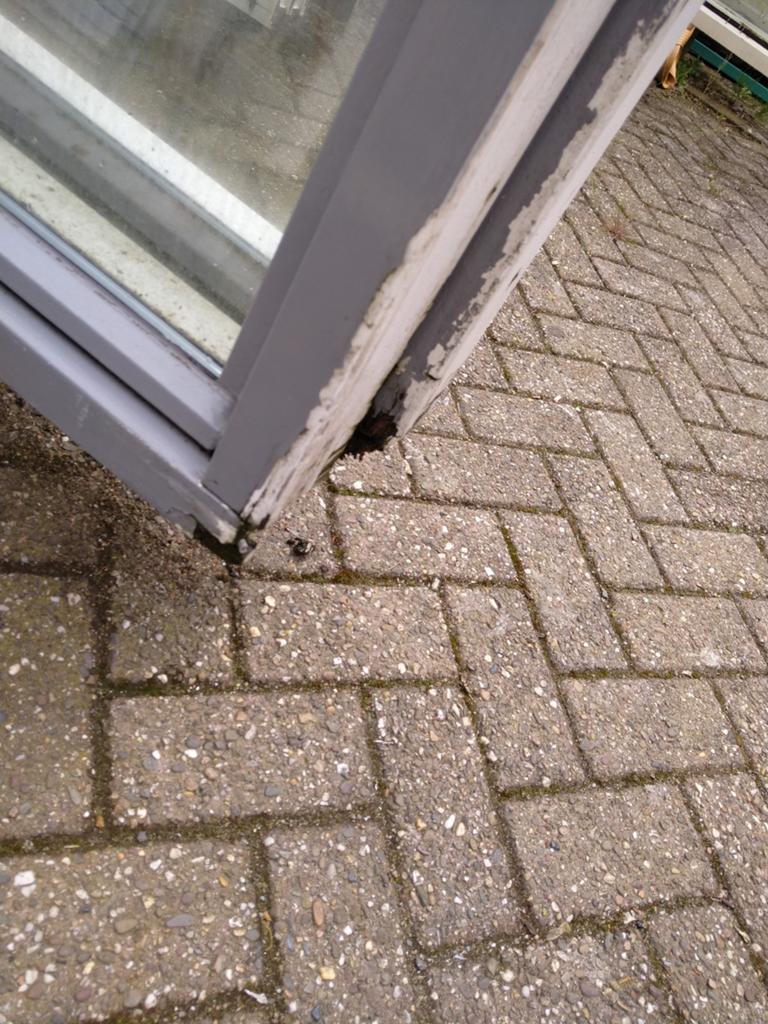 2 x  dakkapellen kozijn, Doe-het-zelf en Verbouw, Gevelraam of Ruit, Gebruikt, Dubbelglas, 160 cm of meer