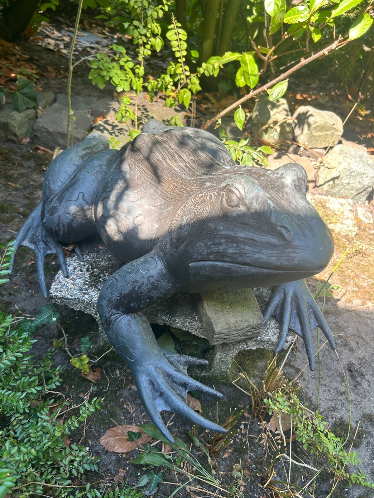 Grote bronzen kikker tuindecoratie 60 x 50 x 35 cm., Tuin en Terras, Tuinbeelden, Ophalen, Gebruikt, Metaal, Dierenbeeld