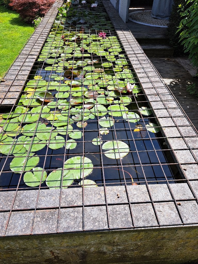 Bouwstaalmat/betongaas, Tuin en Terras, Gaas en Draad, Ophalen, Gebruikt, Minder dan 10 meter, Raster