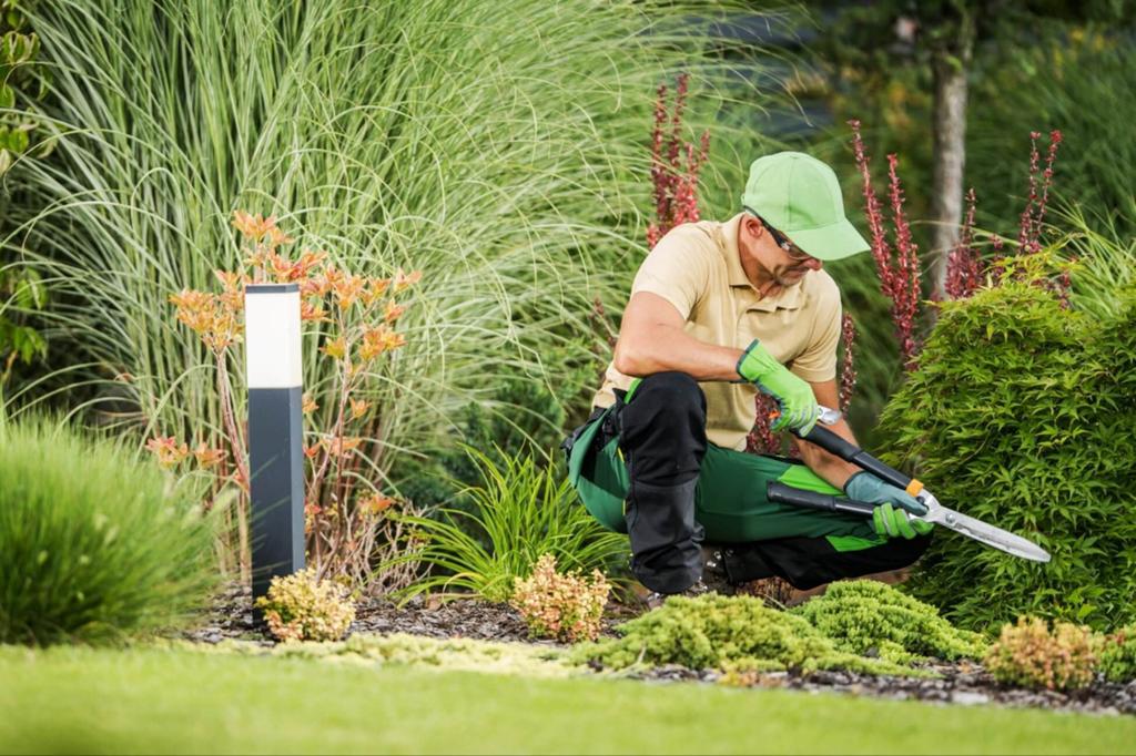 Hulp tuin / tuinonderhoud / tuinman gezocht?, Tuin en Terras, Gras en Kunstgras, Ophalen of Verzenden