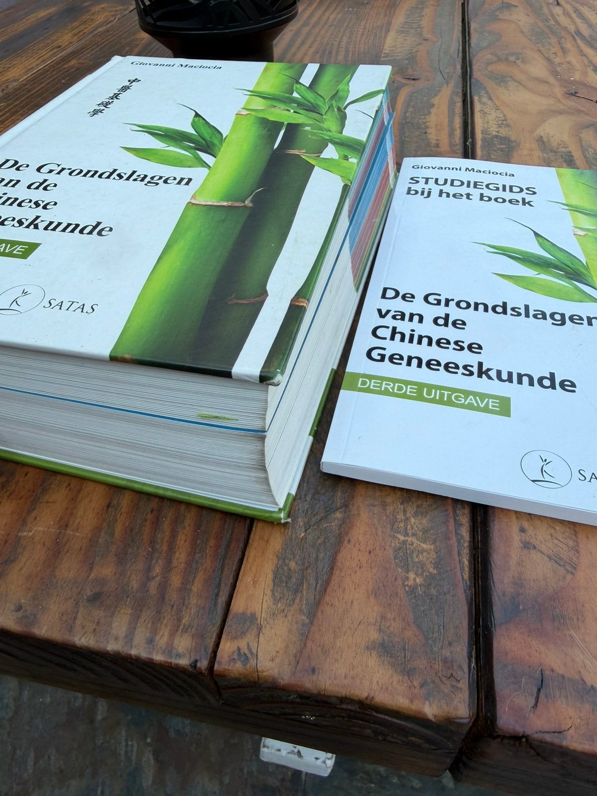 De grondslagen van de chinese geneeskunde boek en studieboek, Ophalen of Verzenden, Beta, Zo goed als nieuw, HBO