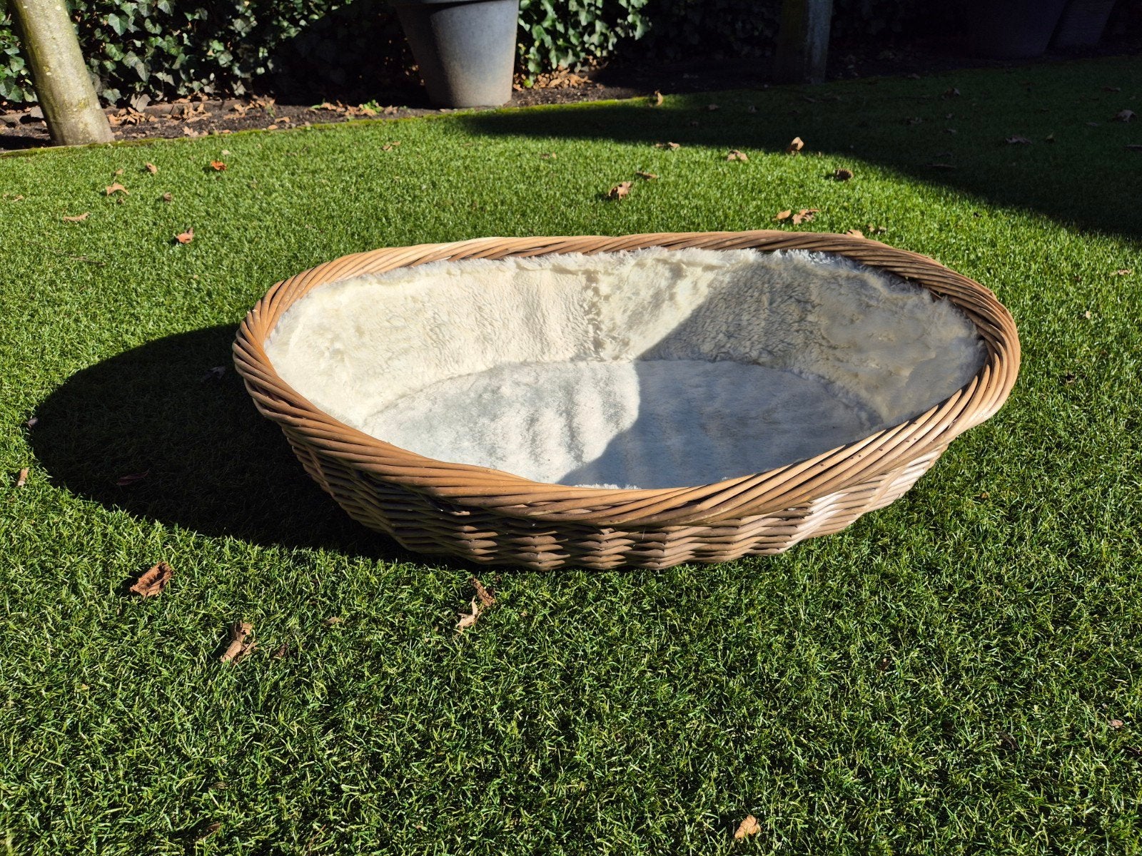 Hondenmand riet/stof 80x60x20, Ophalen, Zo goed als nieuw, Riet