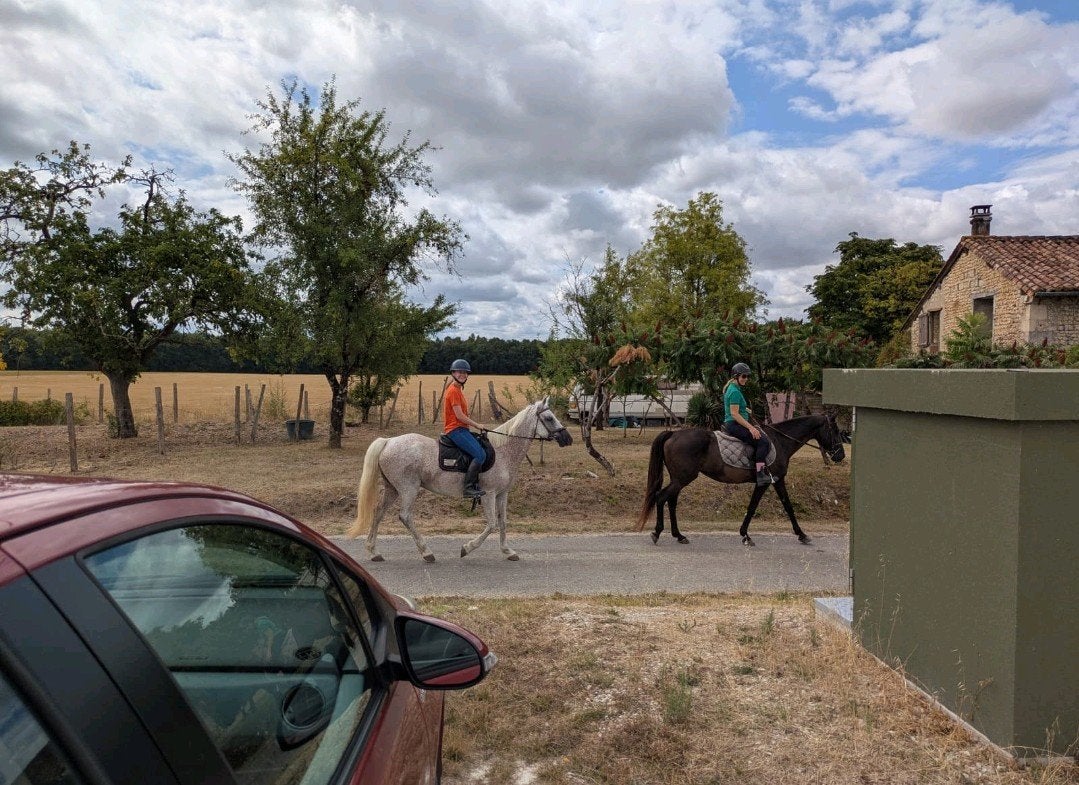 Lease paard/pony gezocht | Bijrijder aangeboden, Ophalen of Verzenden