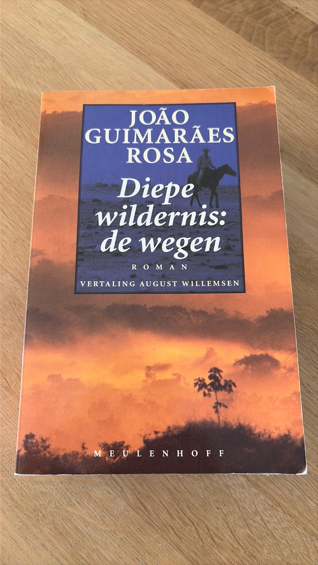 Diepe Wildernis: De Wegen - João Guimarães Rosa, Ophalen of Verzenden, Gelezen, Wereld overig