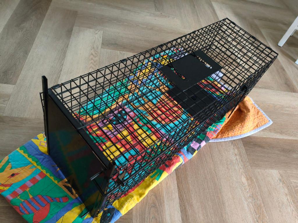 Vangkooi voor kat of rat, Ophalen, Zo goed als nieuw