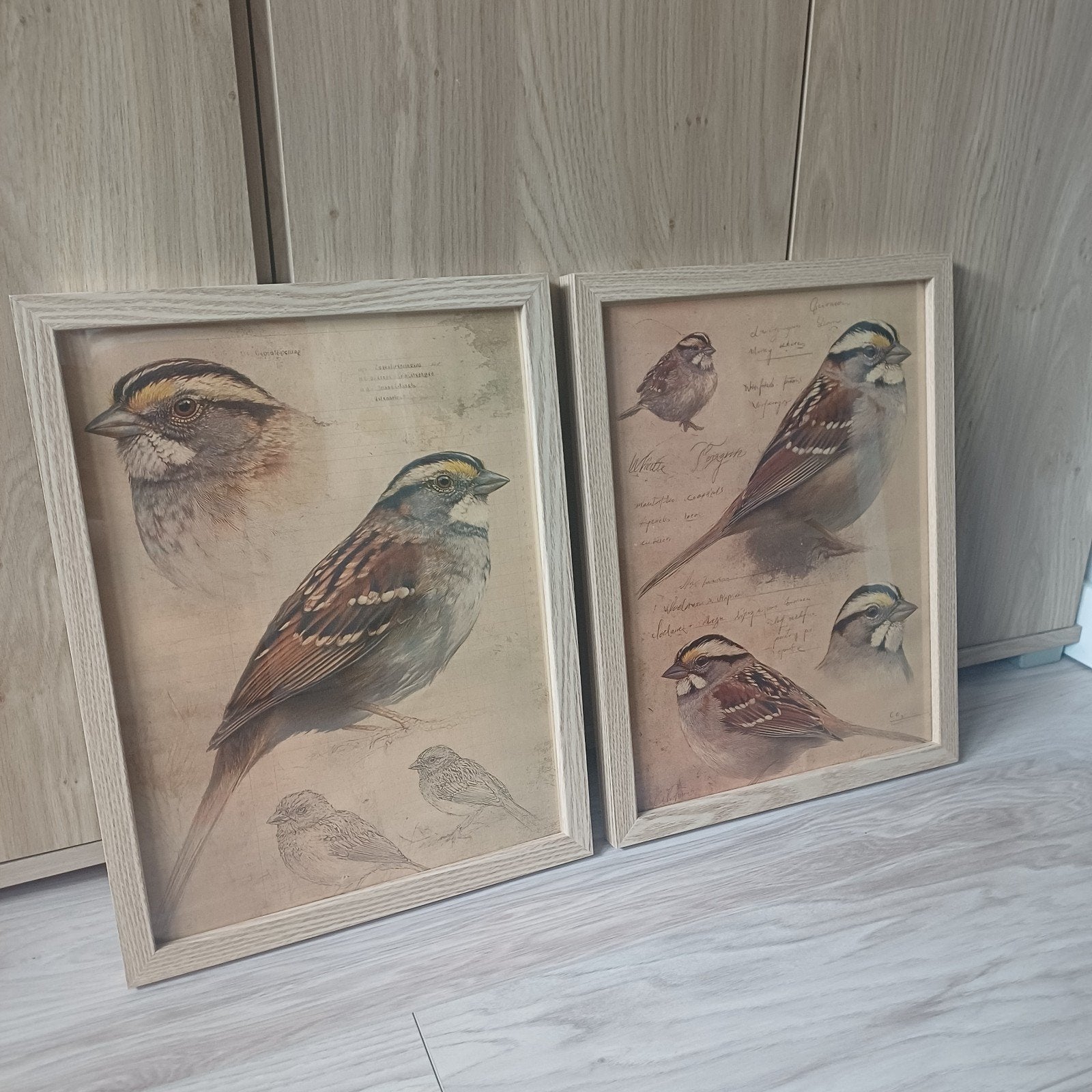 Set van 2 ingelijste prenten van vogels, Meerdere dieren