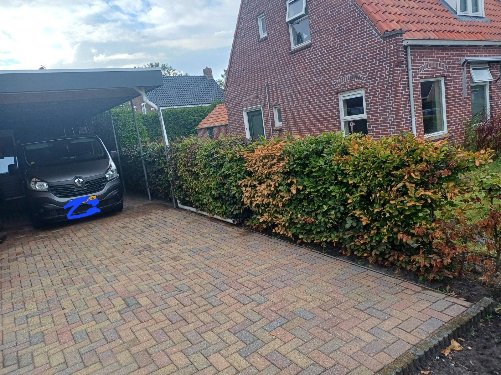 ongeveer 14 meter beuken haag, Ophalen, Beukenhaag, 100 tot 250 cm