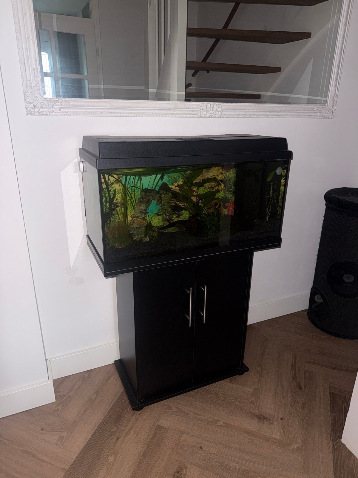 Juwel aquarium incusief vis en toebehoren, Ophalen, Gebruikt, Inclusief vissen, Gevuld zoetwateraquarium