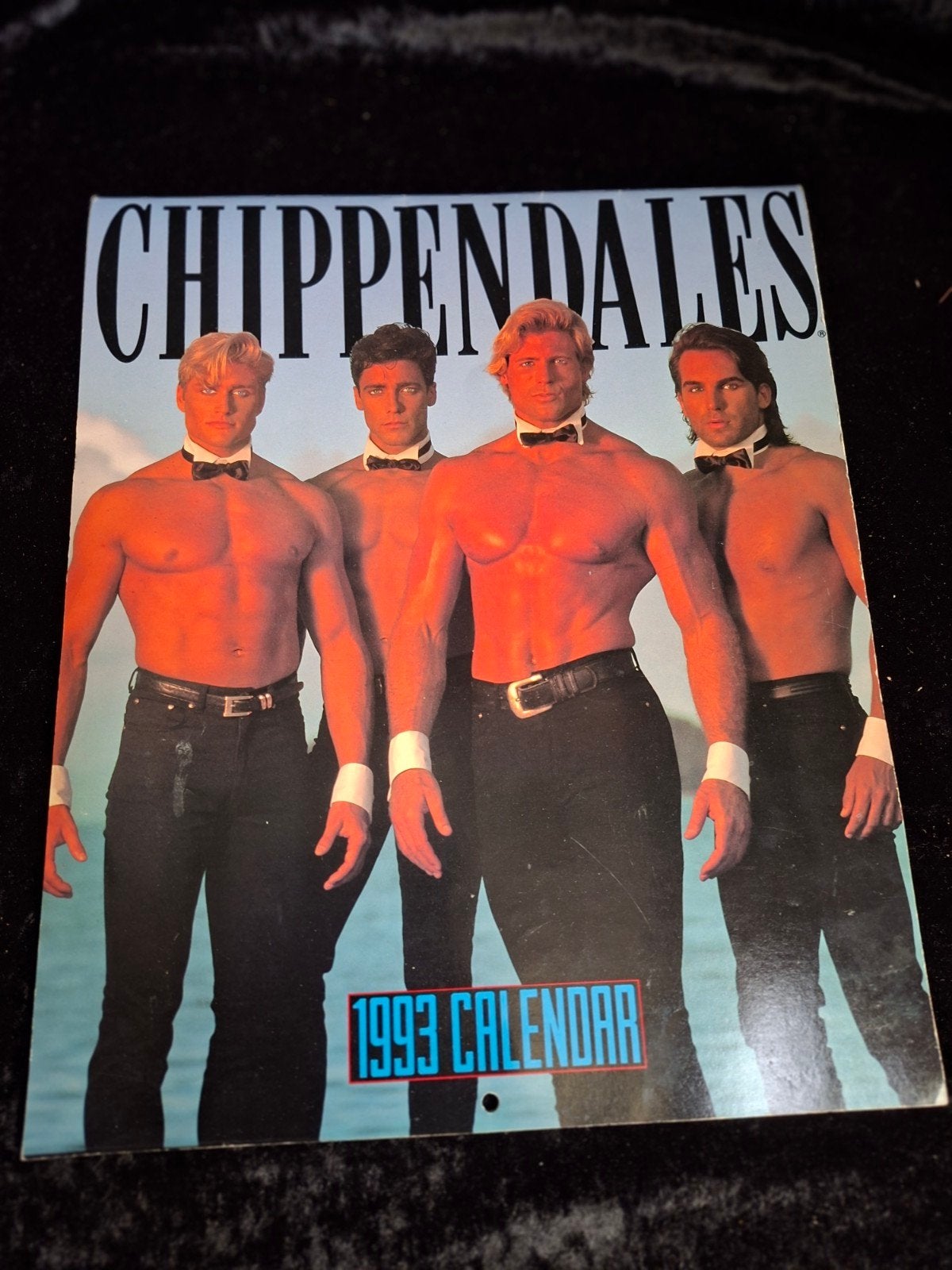 Chippendales kalender 1993, Diversen, Haven 49 2871 CL, Ophalen of Verzenden, Outlet Schoonhoven, Maandkalender