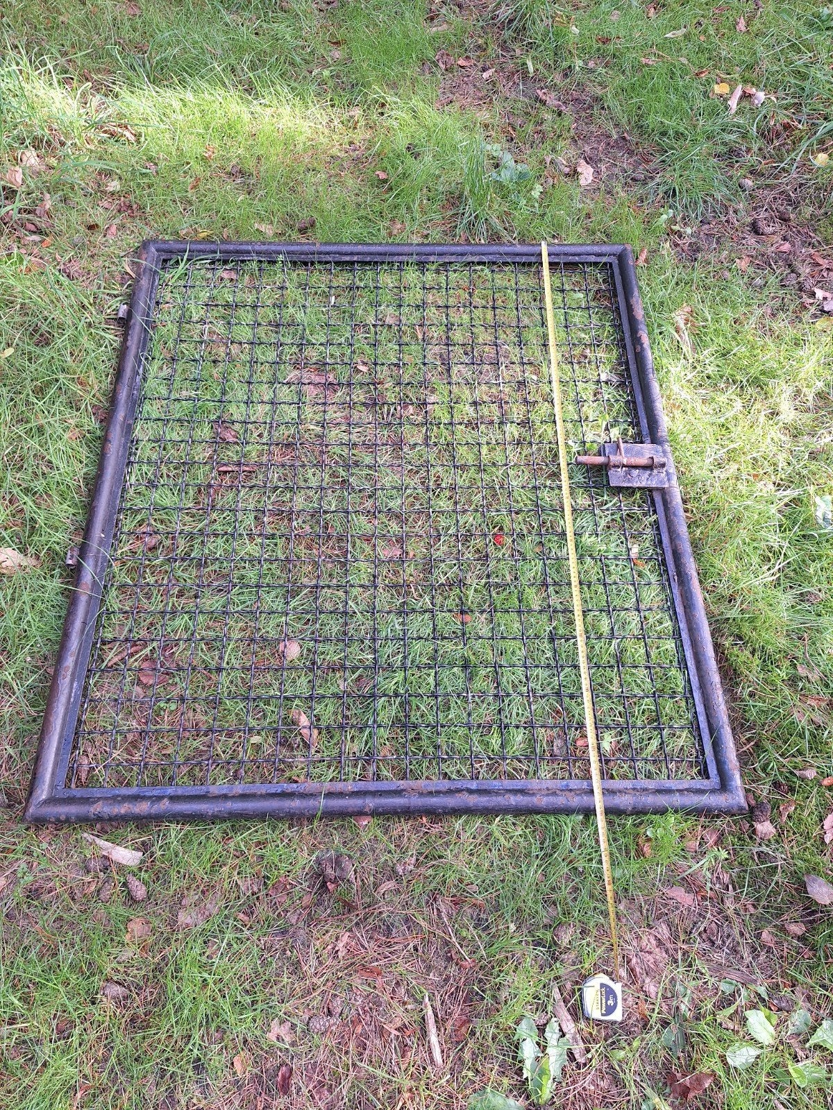 poort, Tuin en Terras, Ophalen of Verzenden, Gebruikt, IJzer, Sierhekwerk