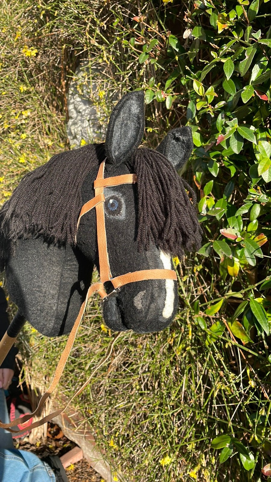 Hobby Horse, Hobby en Vrije tijd, Ophalen, Zo goed als nieuw