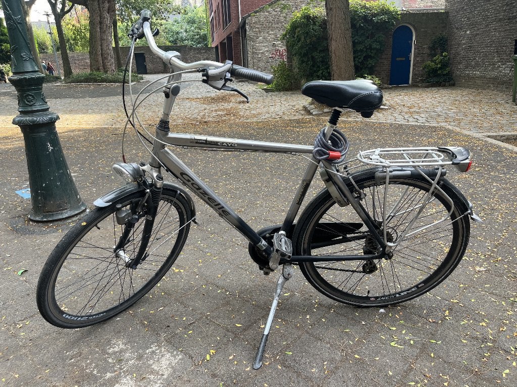 Gazelle Cayo 24v Herenfiets, Fietsen en Brommers, Ophalen, Gebruikt, Velgrem, Versnellingen