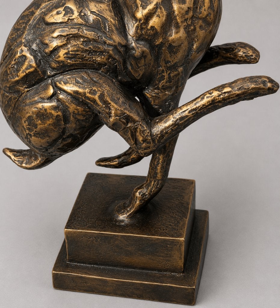 HAAS / bronzen tuinbeeld, Dierenbeeld, Nieuw, Info@huisentuindecoratiemarie.nl, Huis en tuin decoratie marie