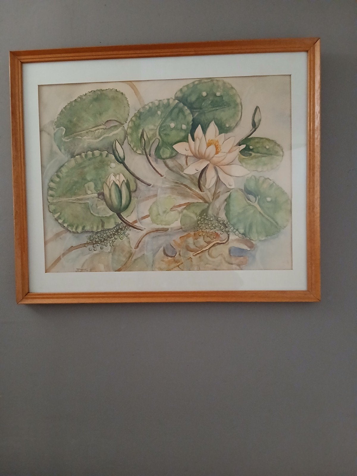 Schilderij waterlelies in houten lijst 59 x 60 cm, Antiek en Kunst, Ophalen