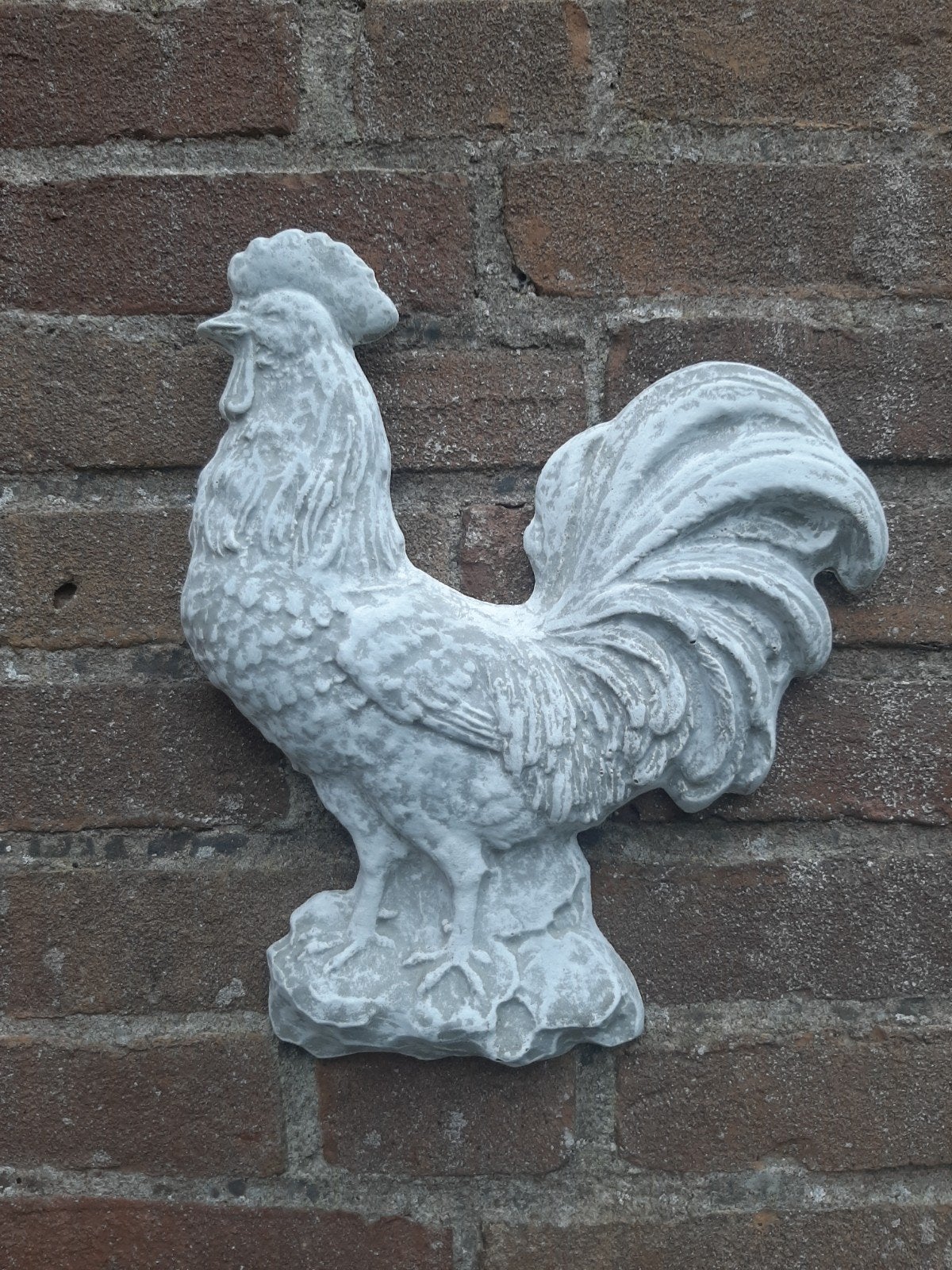 Haan wanddecoratie betonnen beeld tuinbeeld beton, Ophalen of Verzenden