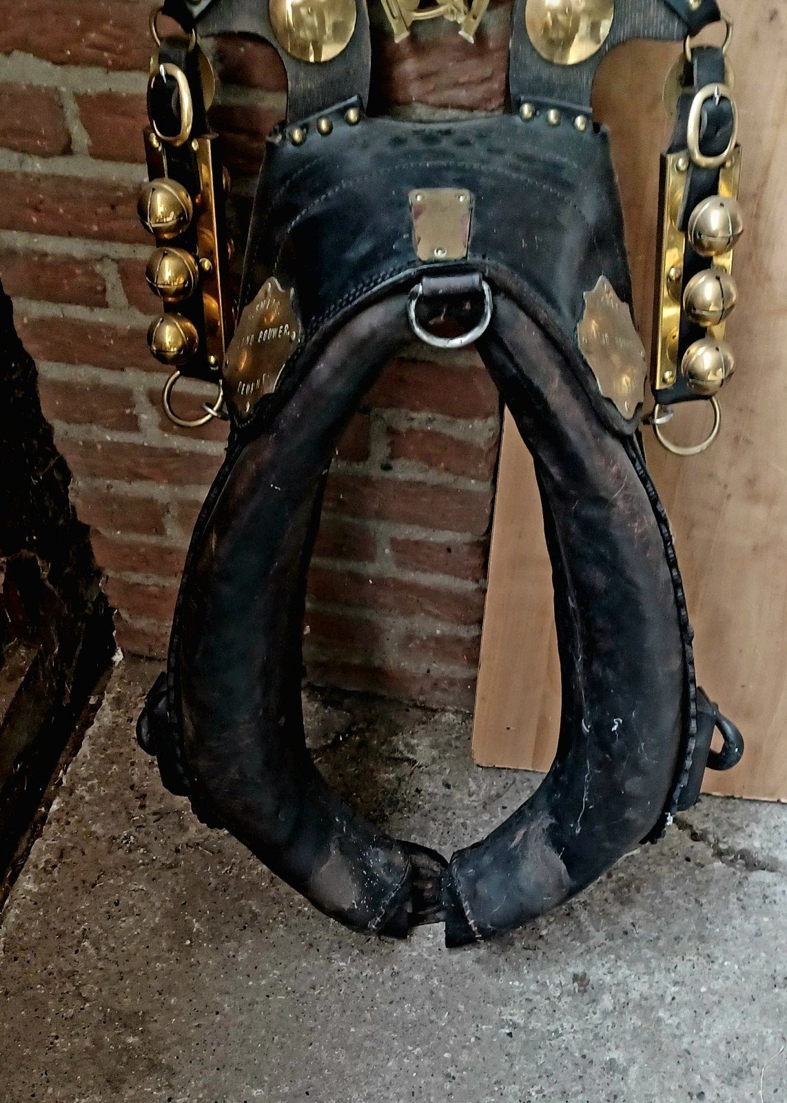 paardenham, Dieren en Toebehoren, Paarden en Pony's | Hoofdstellen en Tuigage, Ophalen of Verzenden