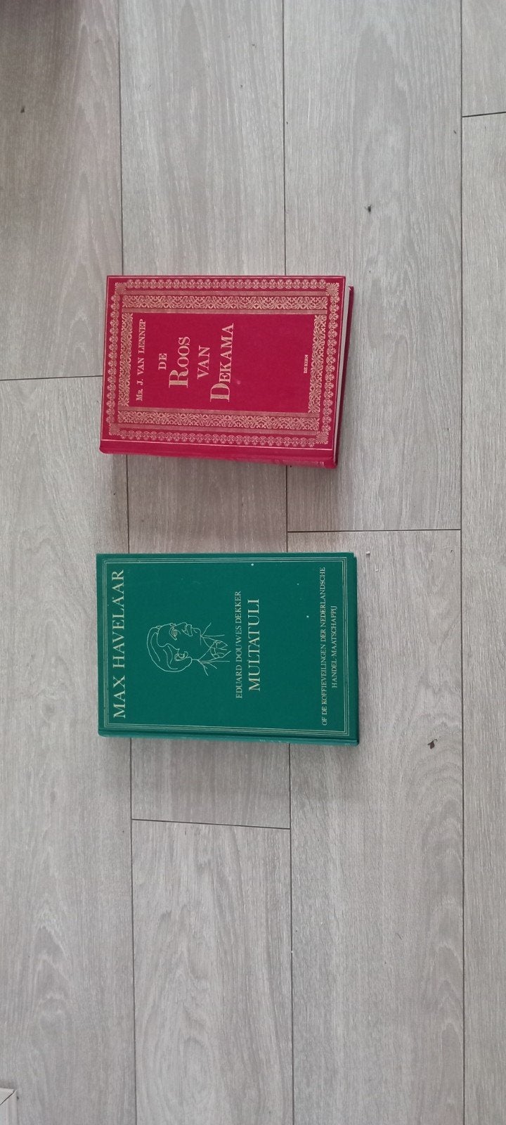 De Roos van Dekema en Mulattuli van Max, Ophalen of Verzenden, Gelezen, Multatuli, Mr. J. van Lennep, Nederland