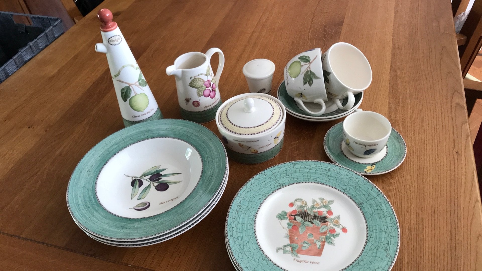 Wedgwood Sarah’s Garden serviesdelen, Ophalen, Zo goed als nieuw, Wedgwood, Kop(pen) en/of Schotel(s)