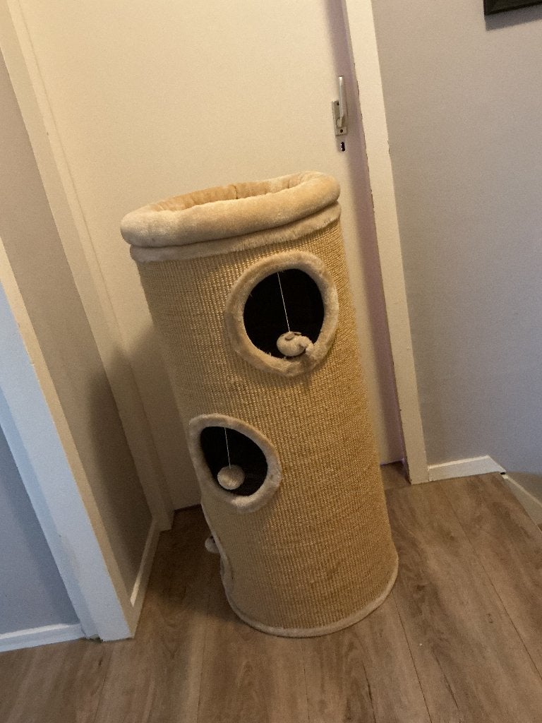 Te koop:katten krabton, Dieren en Toebehoren, Ophalen, Zo goed als nieuw, Krabton
