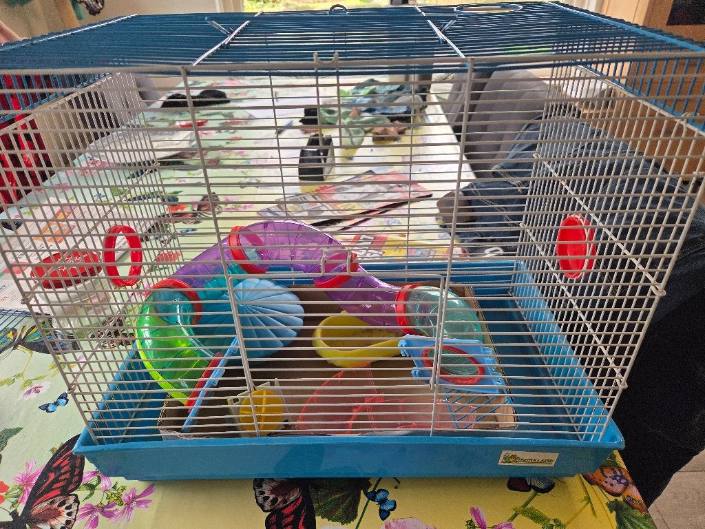 Hamster kooi, Dieren en Toebehoren, Ophalen, Kooi, Gebruikt, 60 tot 90 cm
