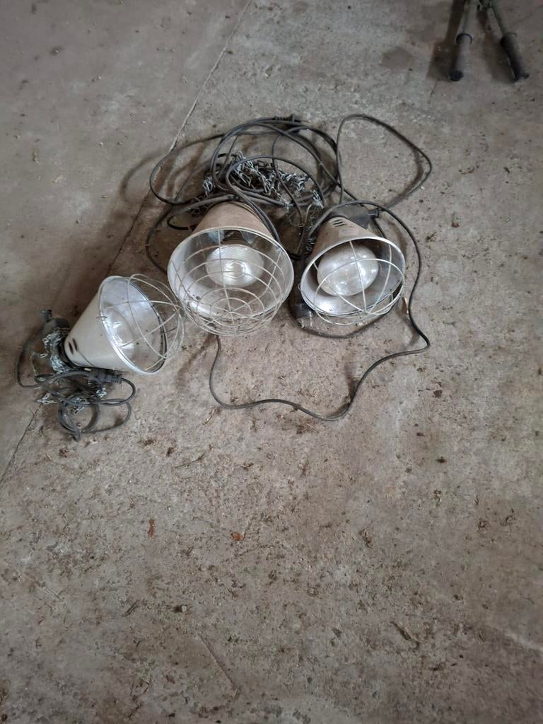 Biggenlamp armaturen, Dieren en Toebehoren
