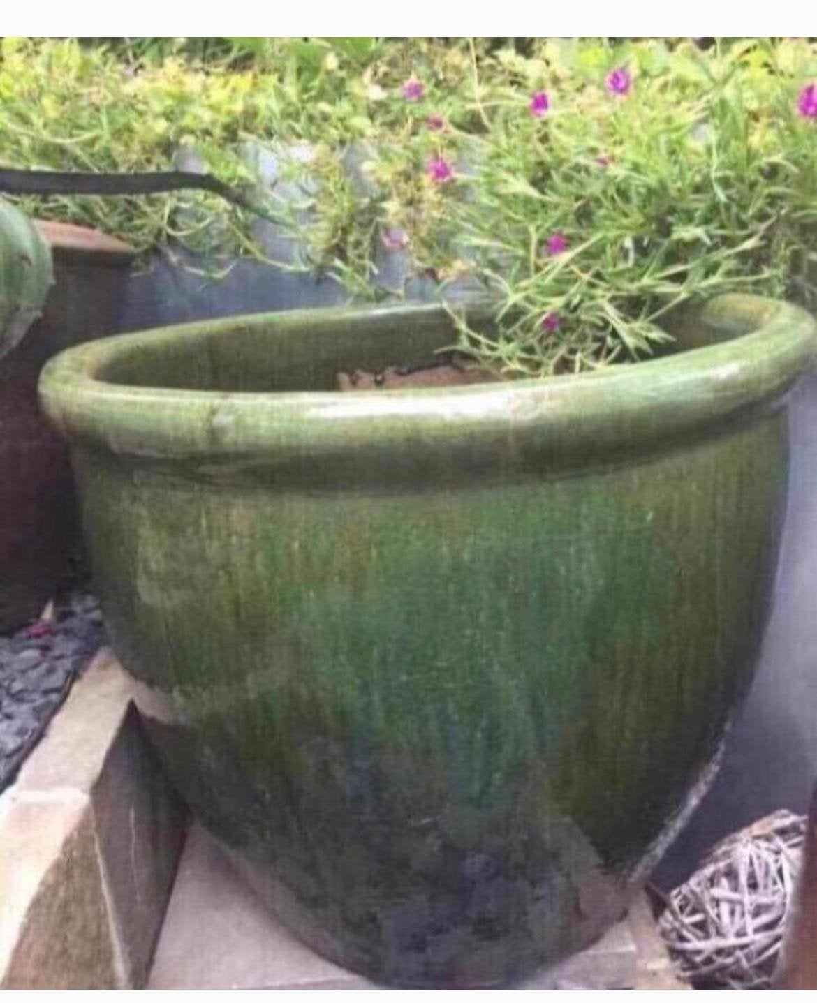 Grote prachtige geglazuurde groene bloempot 60cm, Ophalen, 40 cm of meer, Rond, Zo goed als nieuw