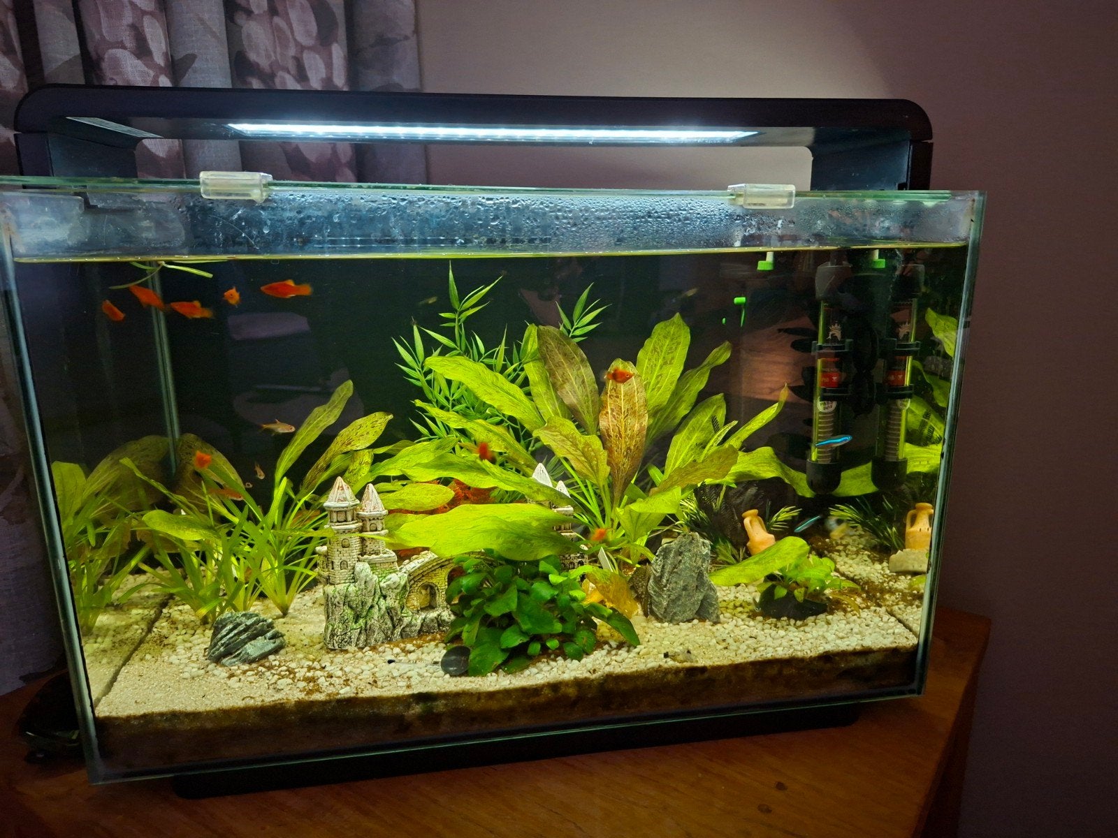 aquarium geheel compleet, Ophalen, Gebruikt, Leeg aquarium