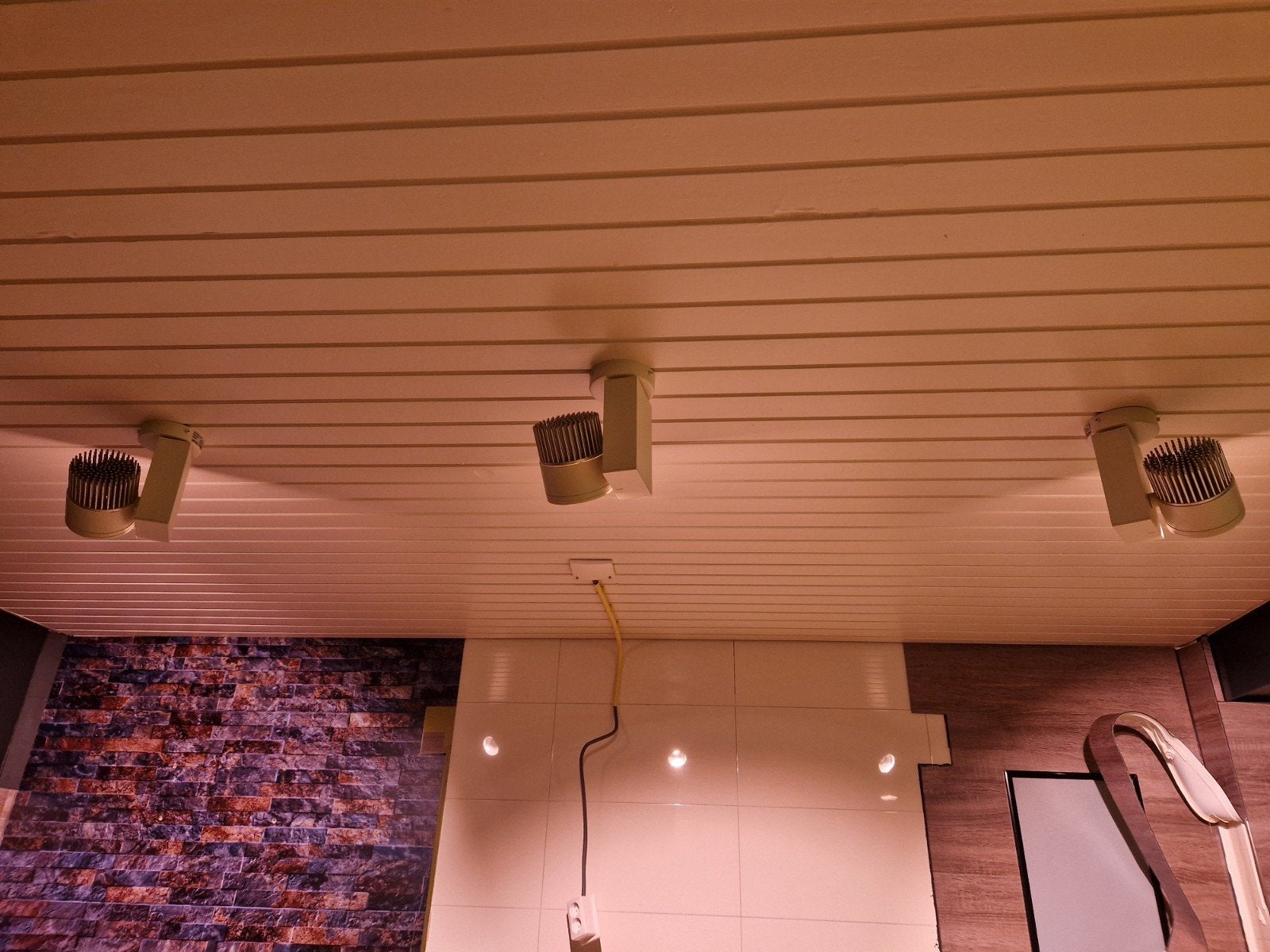 Foto 12 van Vleeslampen diverse maten met 10m geleiderail