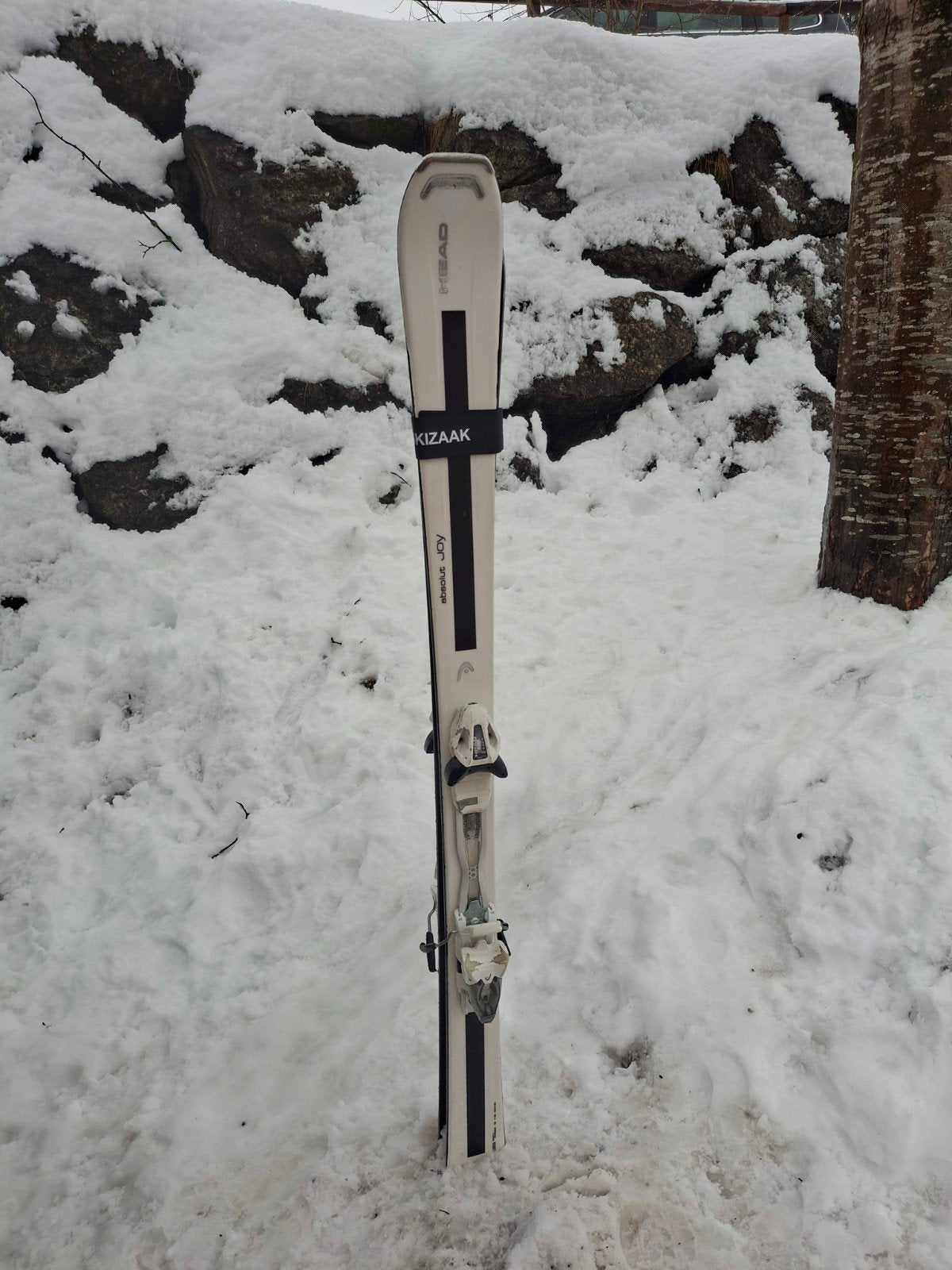 Head ski's 163  joy, Sport en Fitness, 160 tot 180 cm, Gebruikt, Ophalen of Verzenden, Carve