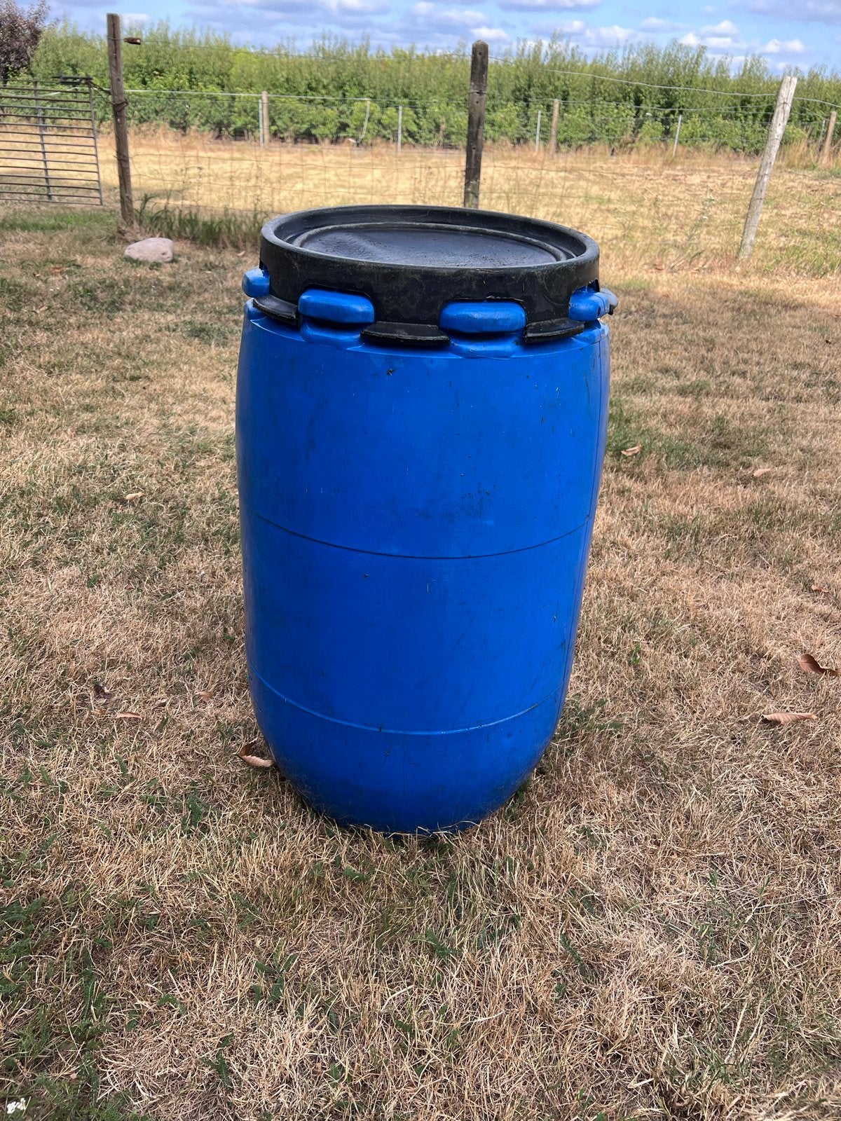 Blauwe kunststof ton met deksel, 75 tot 150 liter, Ophalen of Verzenden, Gebruikt, Kunststof