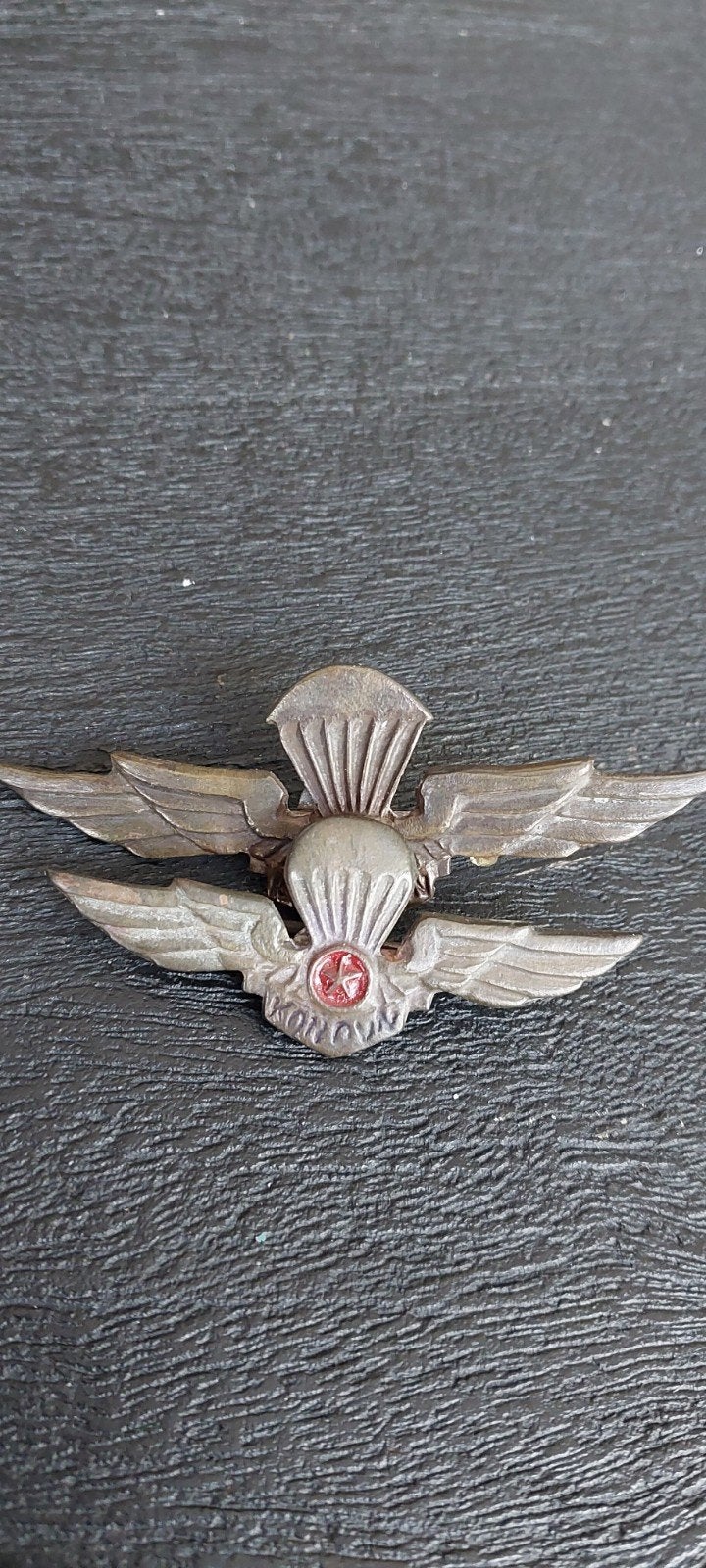 Noord Vietnamese para wings.klein en grote.Vietnam oorlog pe, Ophalen of Verzenden, Landmacht, Nederland, Embleem of Badge