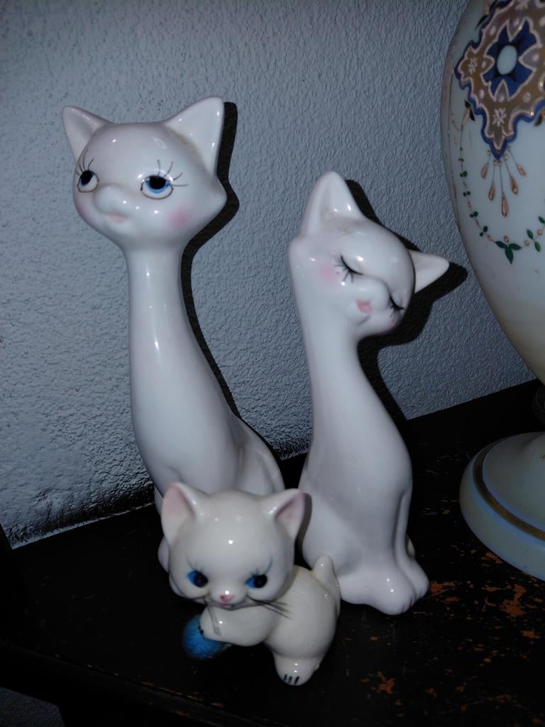 Witte poezen familie beelden, Ophalen of Verzenden, Zo goed als nieuw, Dier