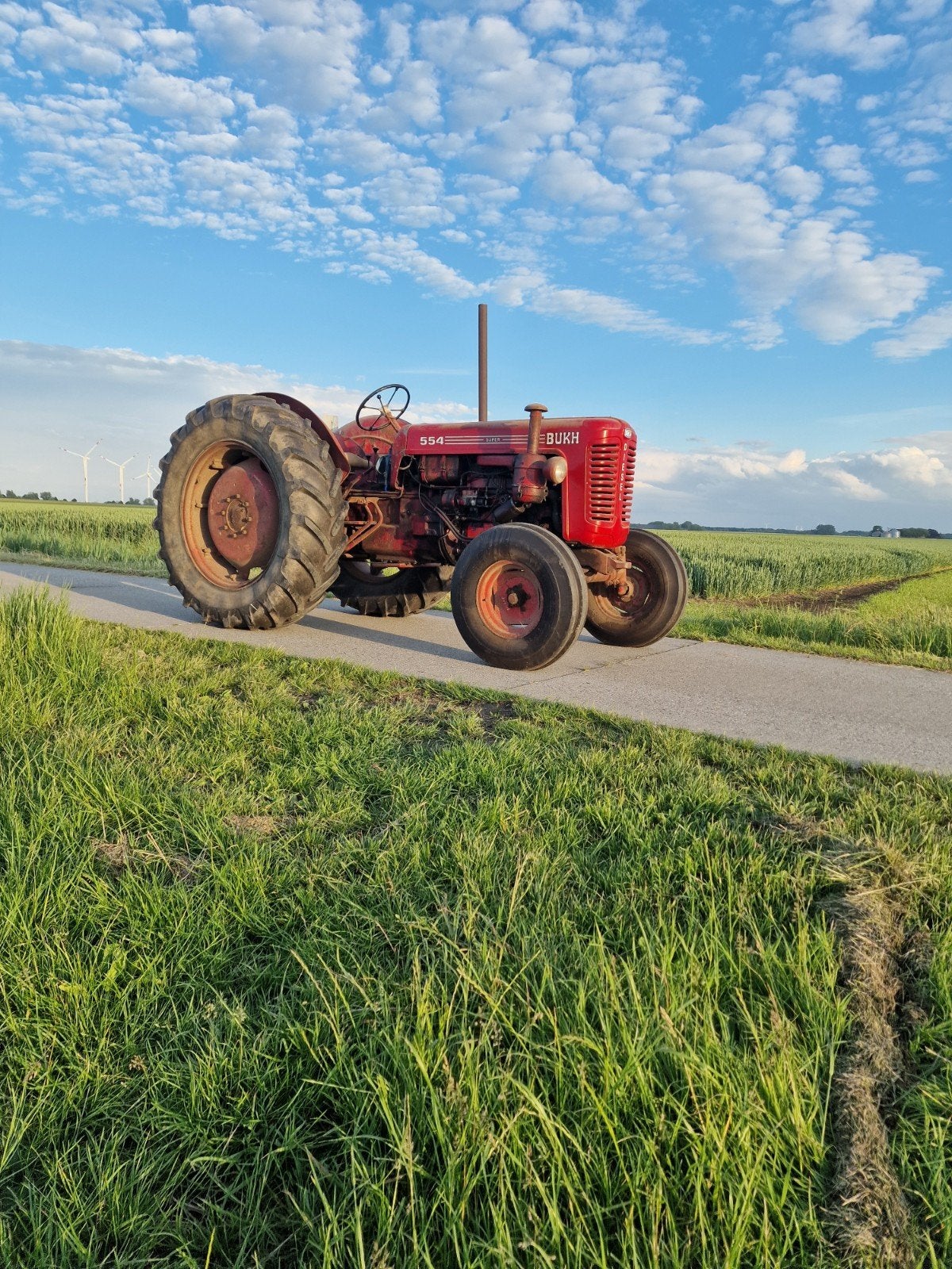 Oldtimer tractor Bukh 554 super, Zakelijke goederen, Agrarisch | Tractoren, Tot 2500, Oldtimer, Tot 80 Pk, Ophalen